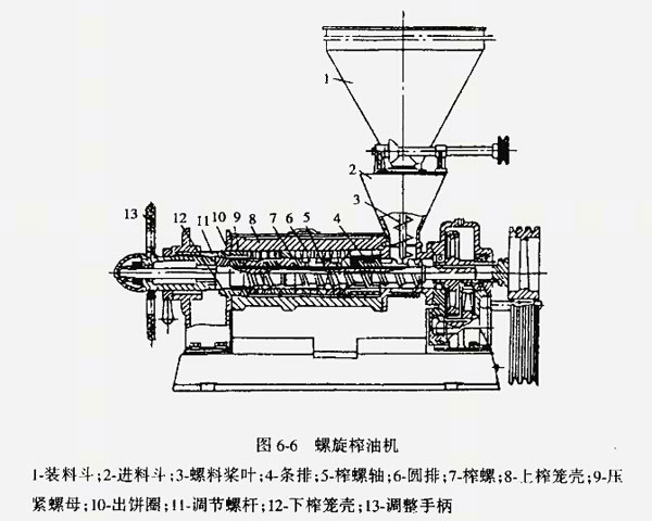 雙象榨油機講解：如何維護和保養榨油機？